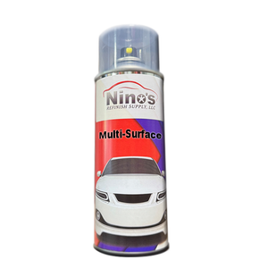 Multi-Surface Paint